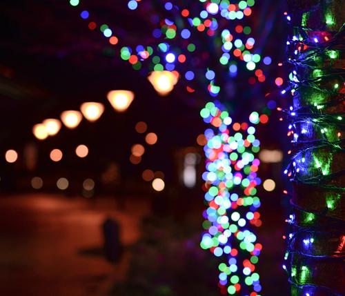 3 idee per decorare la casa con eleganti luci di Natale per esterno
