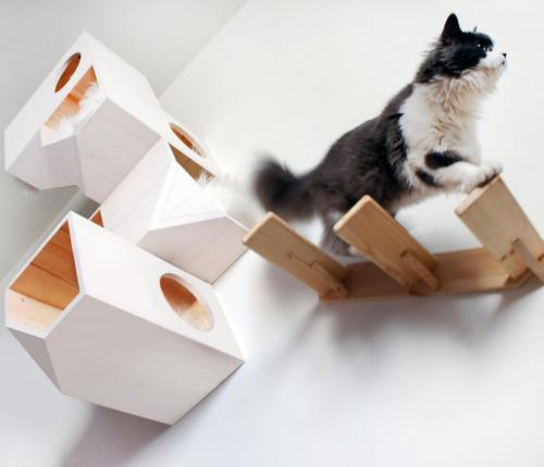 Catissa cat tree provides your cats their own private place to play and sleep