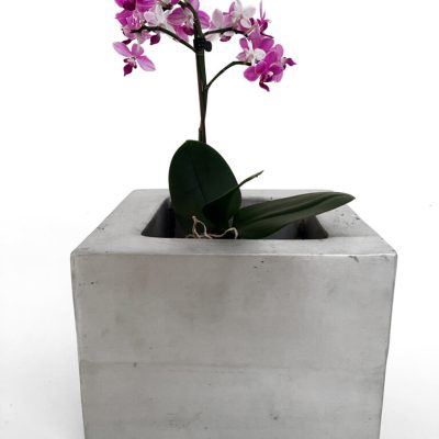 Boho_Maoli_065098723