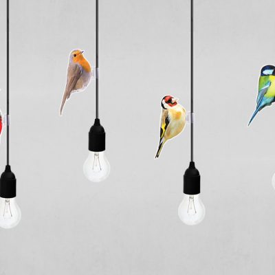 CableBirds_4zu3_alle_grau