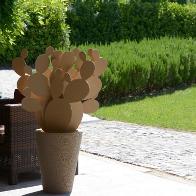 Fico-d-India-XL_NextMade_01