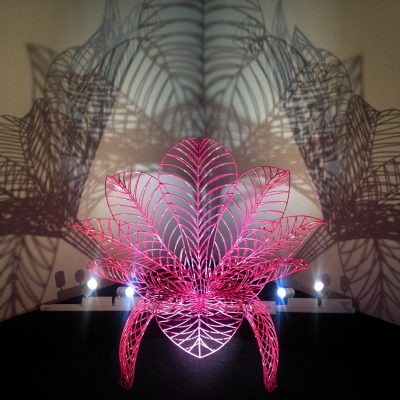 Lunchip-Flower-deep-pink-Anacleto-Spazzapan-ventura-lambrate