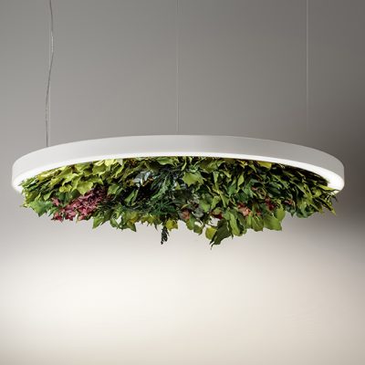 OLEV_GavinSilenceLeaf_orizz