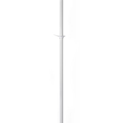 Palm-coatstand-7-RiZZ-TeunFleskens2019651