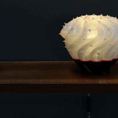 Serena-Fanara_Cereus-Spiralis_02