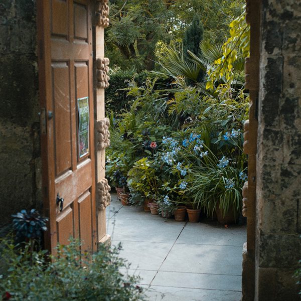 TIDarticles_HowtoChoosetheRightGardenFeaturesforYourHome_01