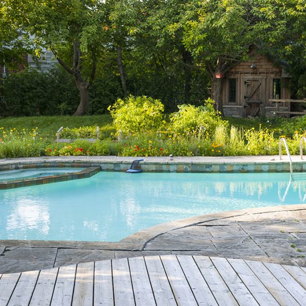 Swimming pool in backyard