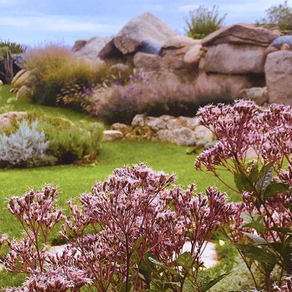 TIDarticles_LandscapearchitectinSardegna_01.jpg